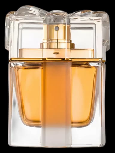 A Wish Gold for women