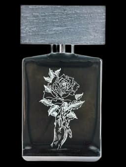 Acrasia unisex