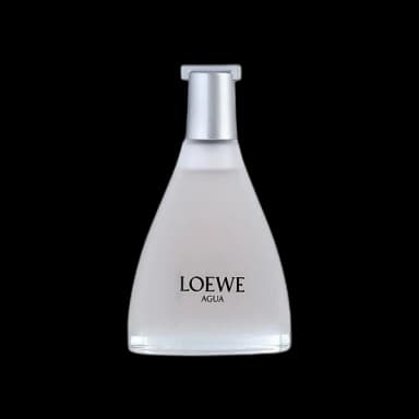Agua De Loewe Ella