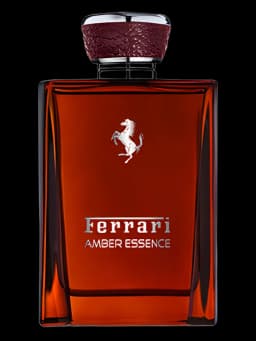 Amber Essence 2016 for men