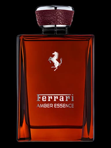 Amber Essence 2016 for men