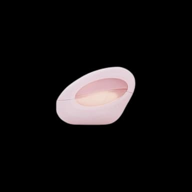 Ariana Grande Mod Blush
