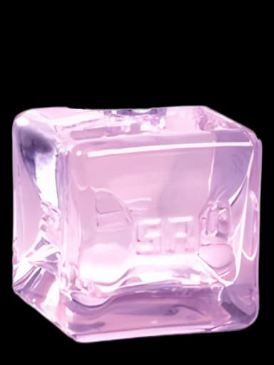Belle en Rykiel Eau de Toillete for women