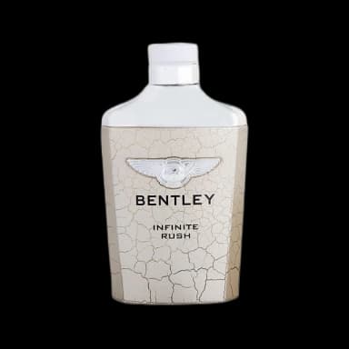 Bentley Infinite Rush