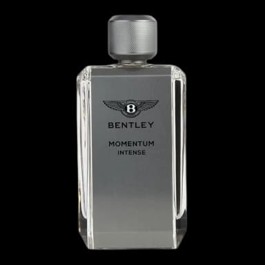 Bentley Momentum Intense