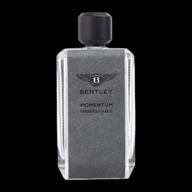 Bentley Momentum Unbreakable