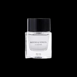 Bottega Veneta Illusione Bois Nu