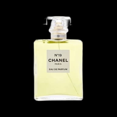Chanel 19
