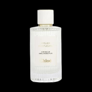 Chloe Atelier Des Fleurs Hibiscus Abelmoschus
