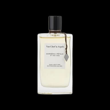 Gardenia Petale