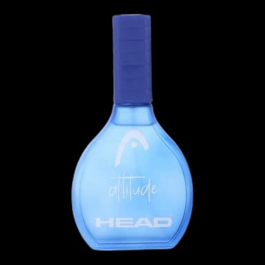 Head Attitude