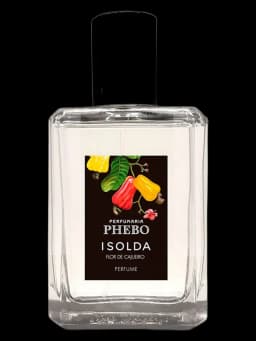 Isolda Flor de Cajueiro unisex