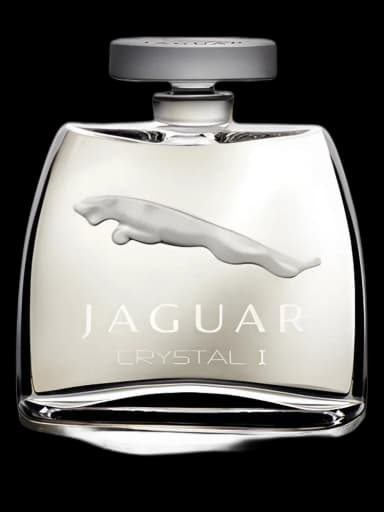 Jaguar Crystal I for men