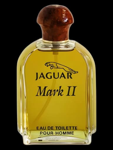 Jaguar Marc II for men