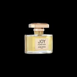 Joy Forever