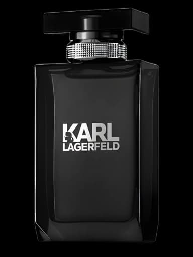Karl Lagerfeld for Him for men