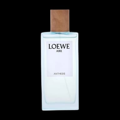 Loewe Aire Anthesis