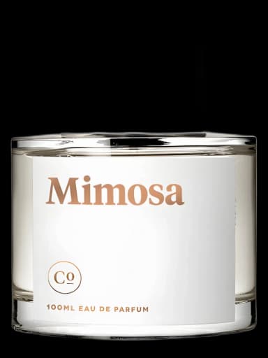 Mimosa for women
