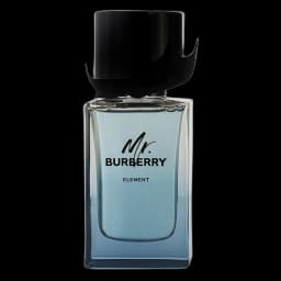 Mr Burberry Element