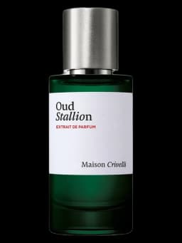 Oud Stallion unisex