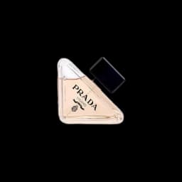 Prada Paradoxe