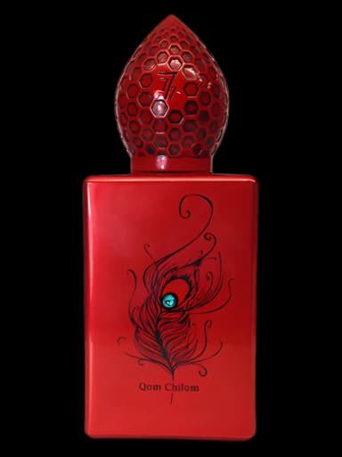 Qom Chilom Stephane Humbert Lucas 777 unisex