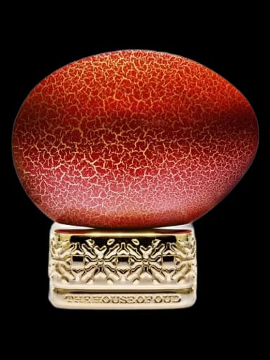 Rock 'n' Rouge unisex