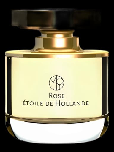 Rose Etoile de Hollande unisex
