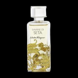 Salvatore Ferragamo Savane Di Seta
