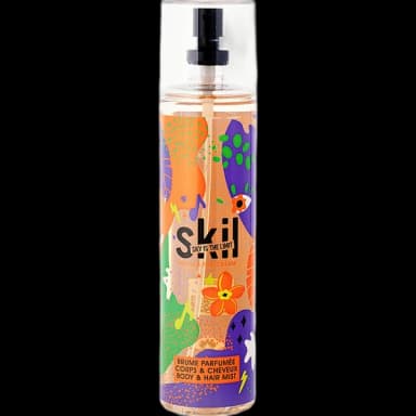 Skil Vanilla Ice Cream