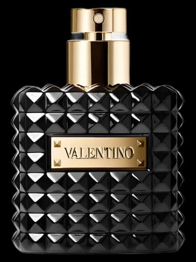 Valentino Donna Noir Absolu for women