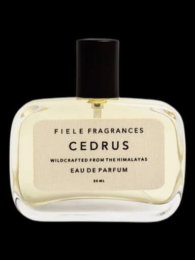 Cedrus unisex