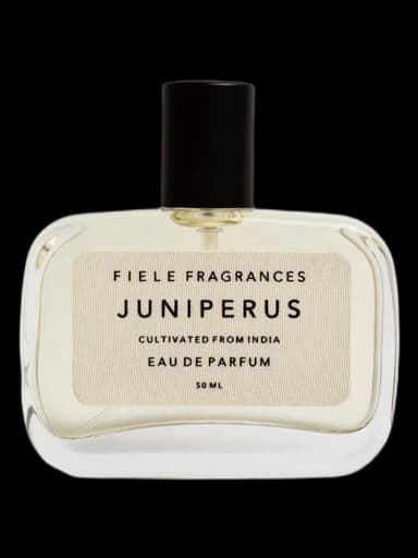 Juniperus unisex