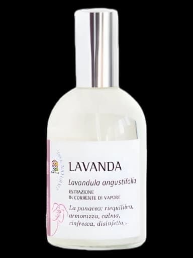 Lavanda unisex