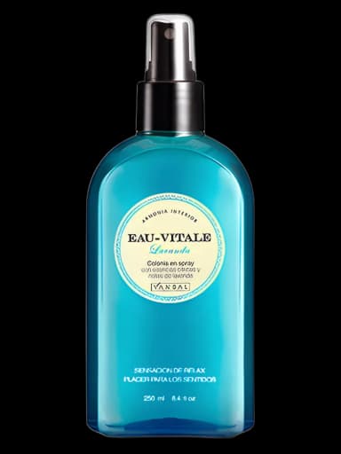 Lavanda unisex