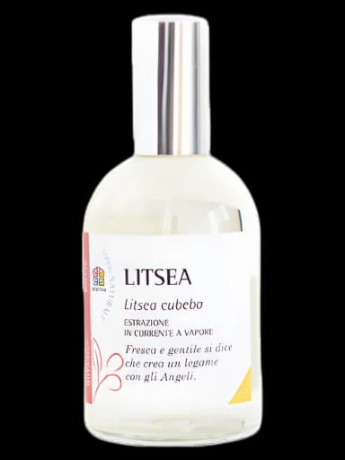 Litsea unisex